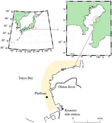 Air-water CO2 and water-sediment O2 exchanges over a tidal flat in Tokyo Bay